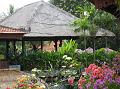 2007 07 18 BALI 003